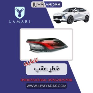 خطر عقب لاماری