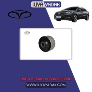 بوش طبق بزرگ چری آریزو 5